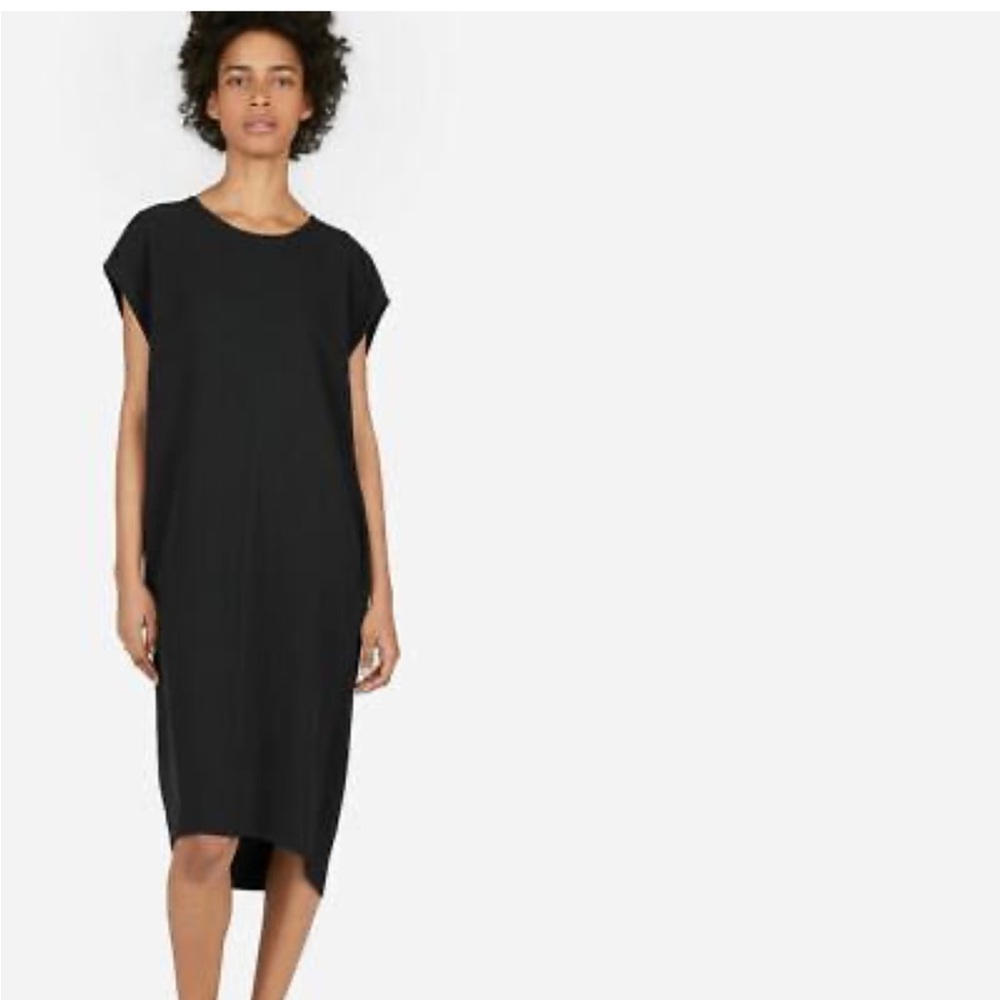 Everlane Cocoon Japanese GoWeave Shift Midi Dress